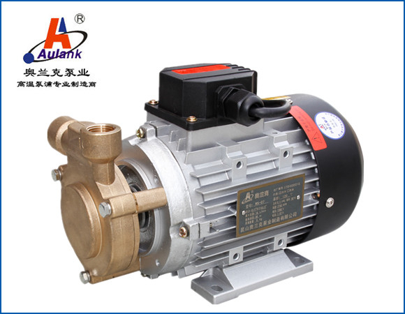 小型高揚(yáng)程耐高溫?zé)崴郎u泵