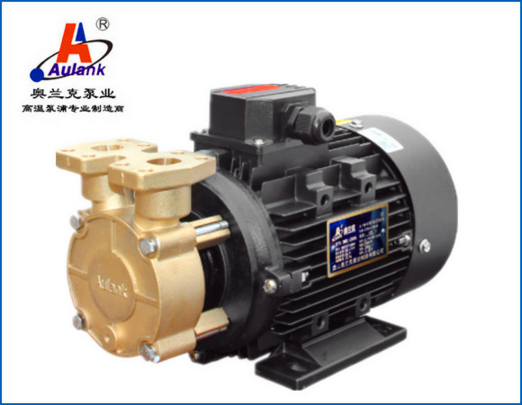 W型小型高溫導熱油旋渦增壓泵